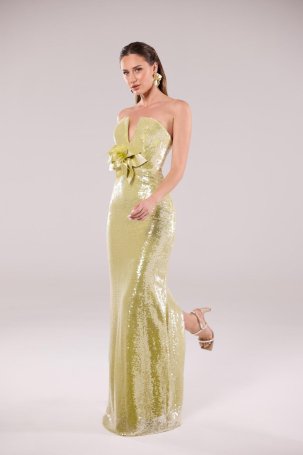 Degz Kadın Derin V Yaka Payetli Aksesuarlı Abiye Elbise 55482 Fıstık Yeşili - 1
