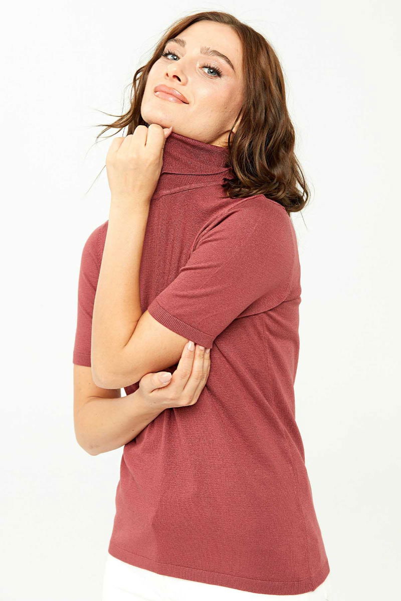 Desen Triko Kadın Likralı Kısa Kollu Tam Balıkçı Bluz 20346 Gül Kurusu - 4