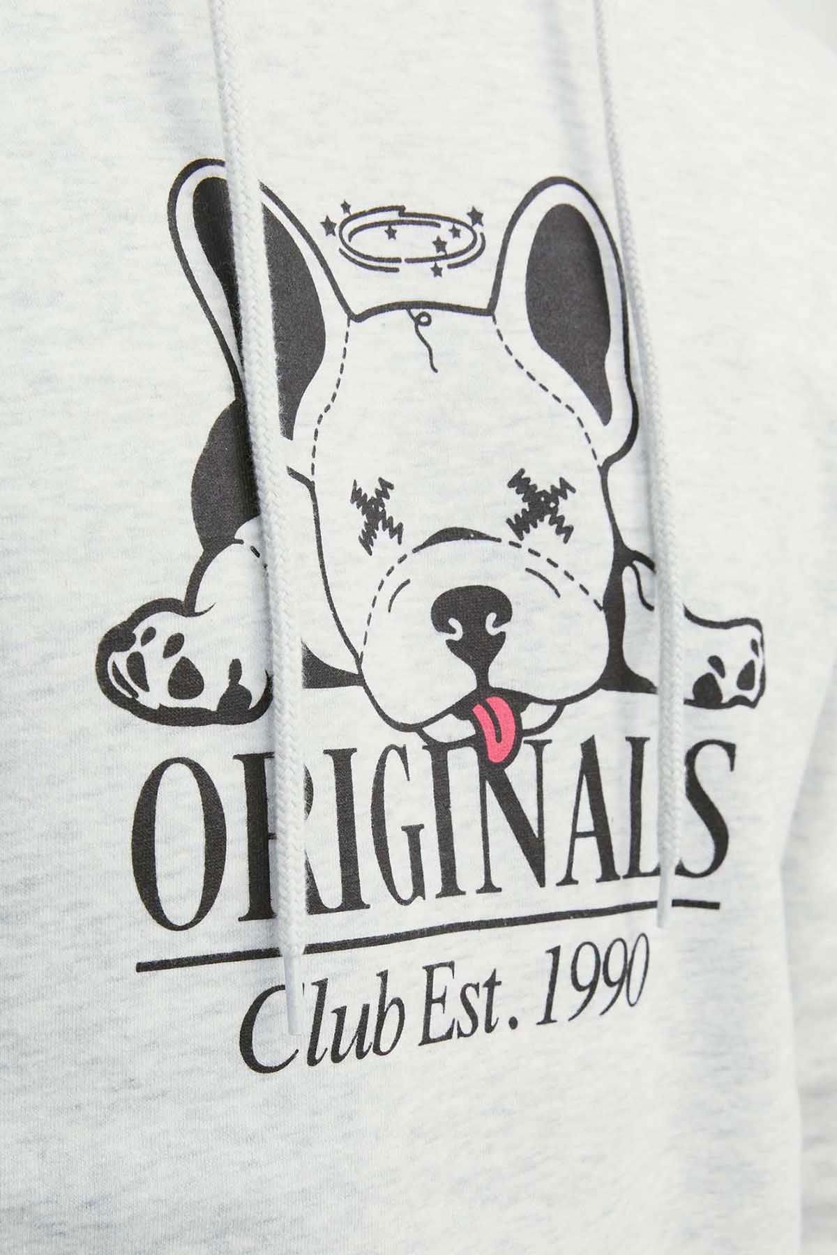 Jack & Jones Erkek Beware Baskılı Kapüşonlu Sweatshirt 12244219 Gri - 2