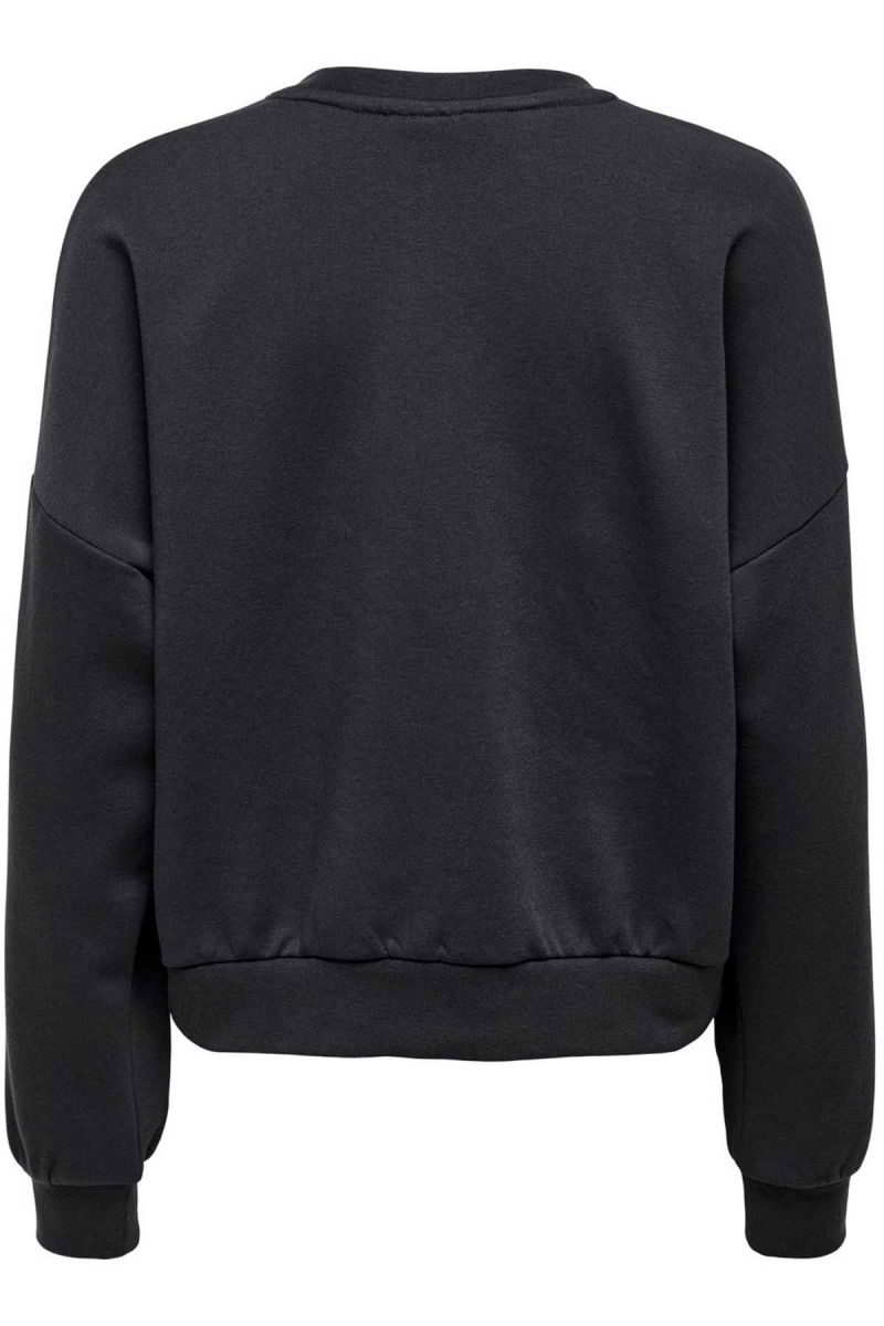 Only Kadın Onltrıne Reg Bisiklet Yaka Sweatshirt 15274651 Füme - 3