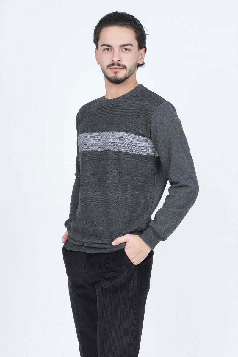 Rey Polo Erkek Bisiklet Yaka Desenli Triko Sweat 6743617 Siyah - 2