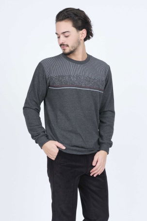 Rey Polo Erkek Bisiklet Yaka Triko Sweat 6743616 Füme - 2