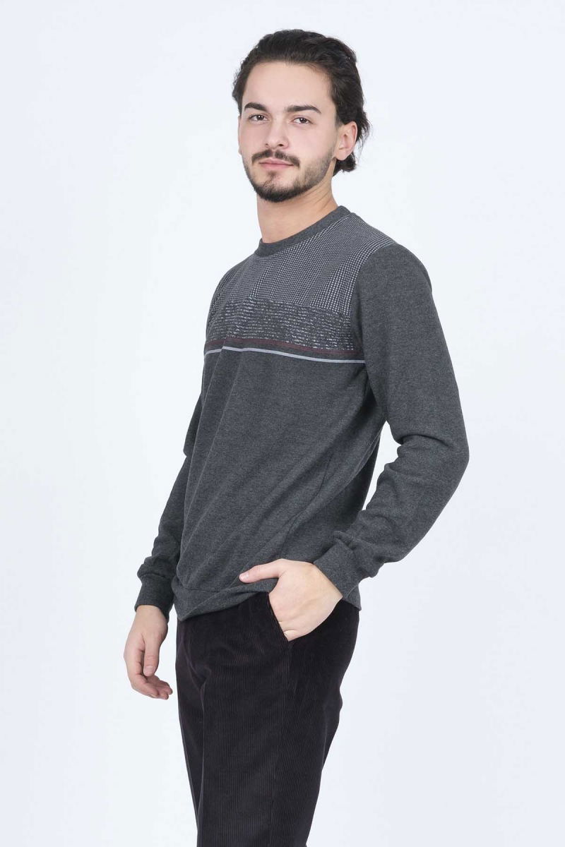 Rey Polo Erkek Bisiklet Yaka Triko Sweat 6743616 Füme - 4