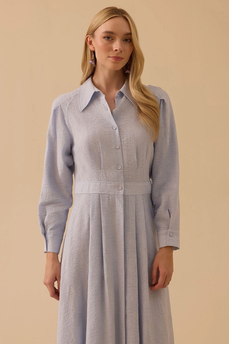 Seçil Kadın Desenli Pileli Elbise 1013 Mavi - 2